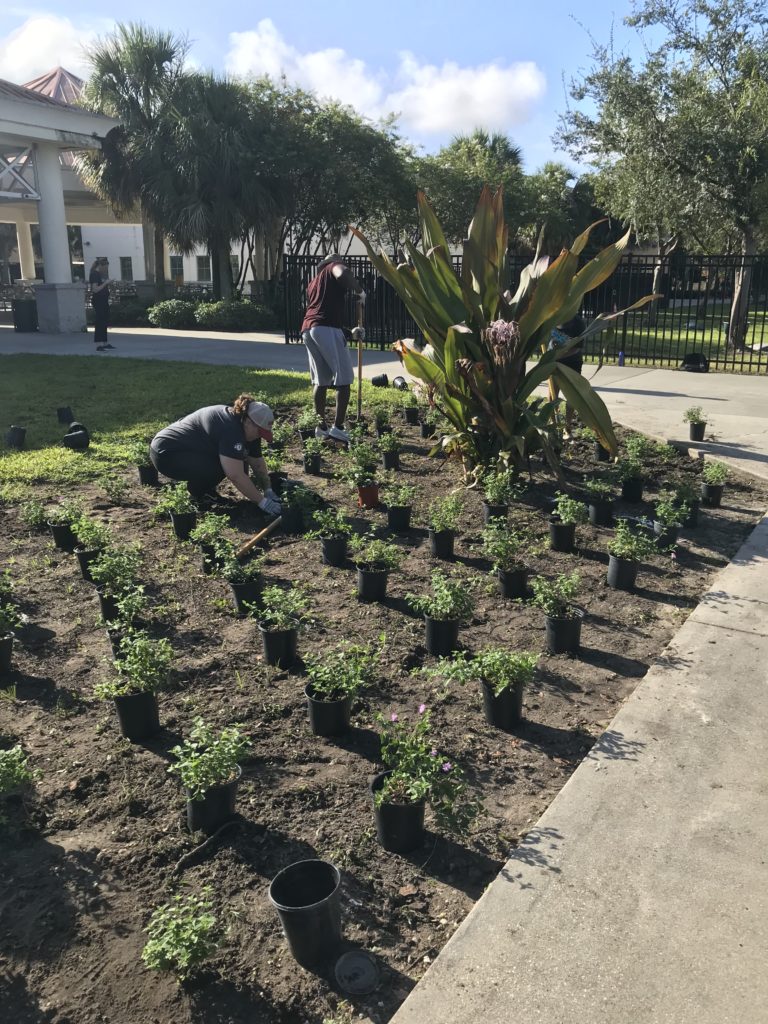 City Year Orlando Physical service on opening day