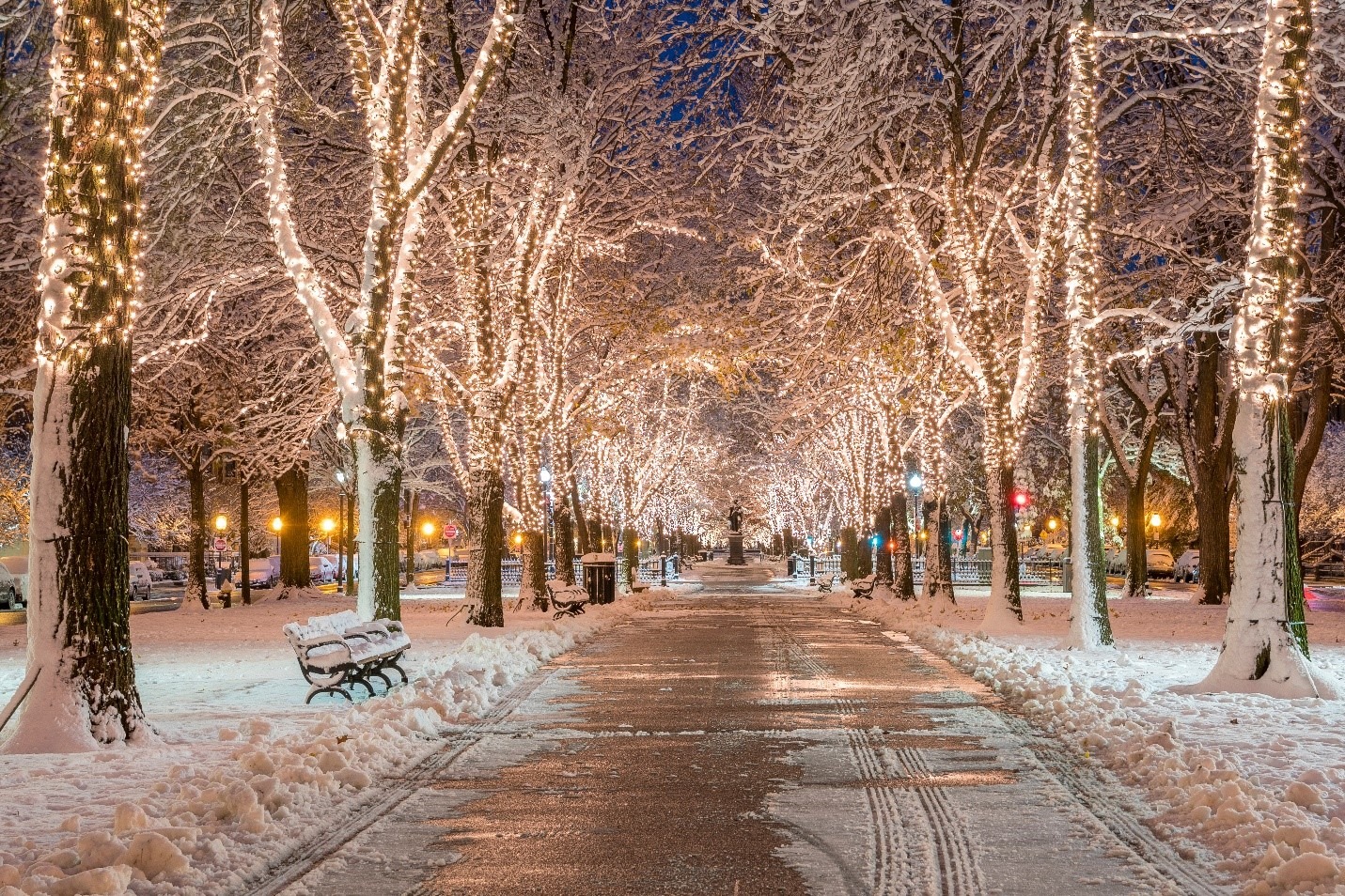 A walking path with trees decorated with holiday lights and covered in snow.