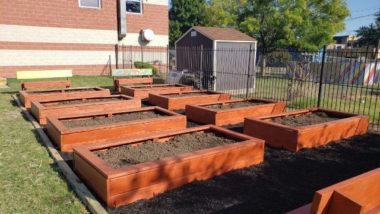 Six garden beds filled with soil.