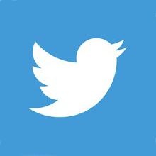 Twitter logo for Bain Capital City Year Partner Page