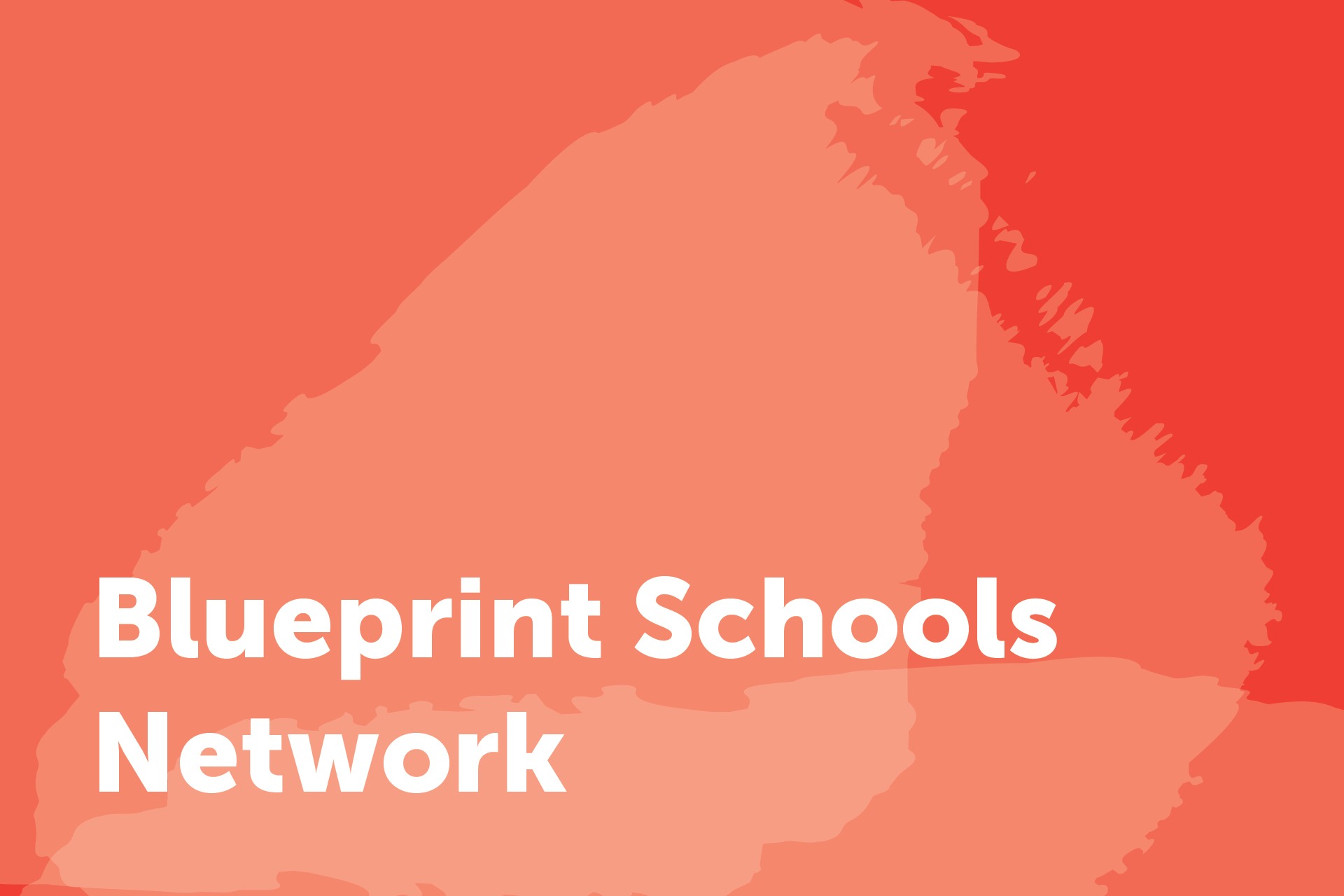 Blueprint Schools Network City Year