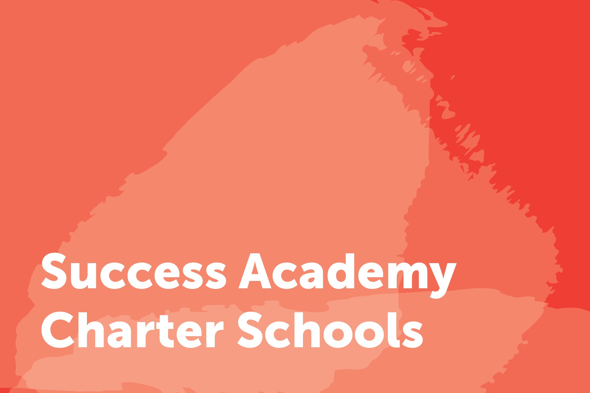 Success Academy Charter Schools City Year