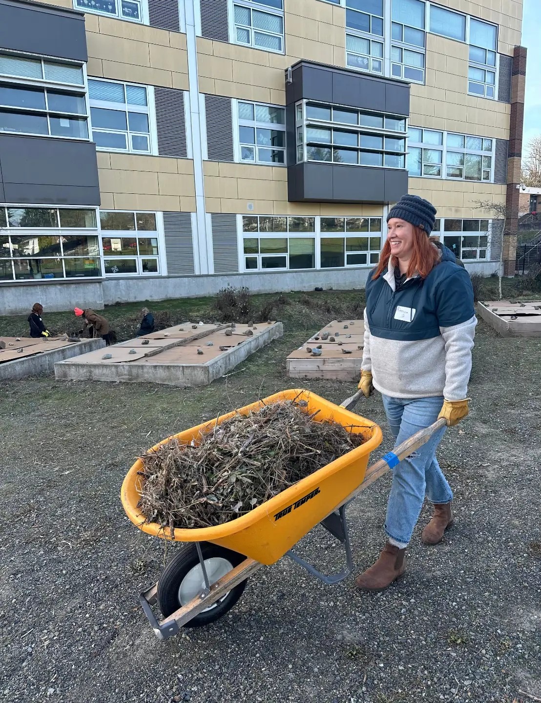 Volunteer pushing a wheelbarrow of yard debris outside a school