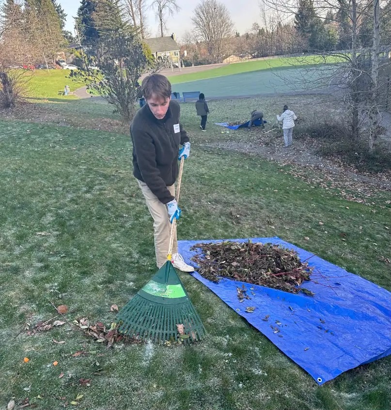 Volunteer raking leaves onto a tarp on a school lawn